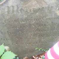 Catharine  Mrs. WINKLE