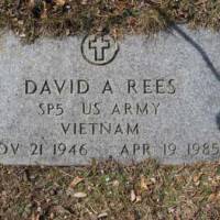 DAVID A. REES (VN)